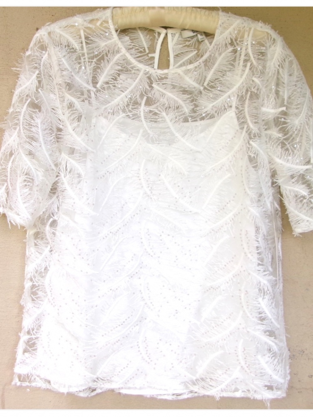 Badgley Mischka Feathery Mesh Top with Embroidery